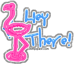 Pink Flamingo Hey There